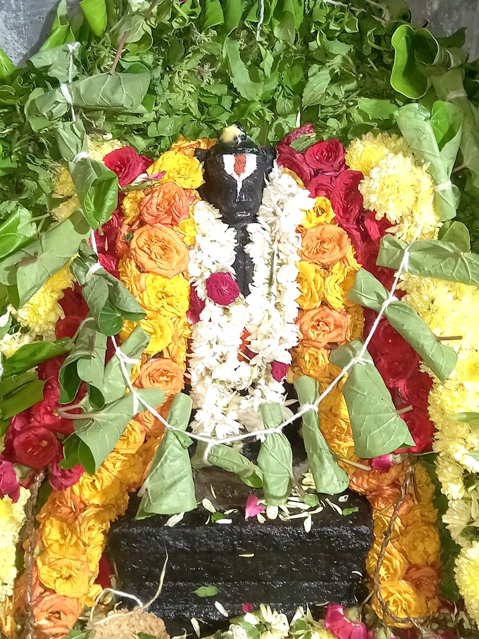 Maharishi Brindavanam